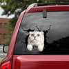 Scottish Fold Cat Crack Head Decal Funny Jokes Custom Die Cut Stickers Gift Ideas For Wife - Cat Lovers die-cut waterproof vinyl sticker decal