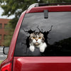 Scottish Fold Cat Crack Car Decal Custom Funny Faces Removable Stickers Gift Ideas For Wife - Cat Lovers die-cut waterproof vinyl sticker decal