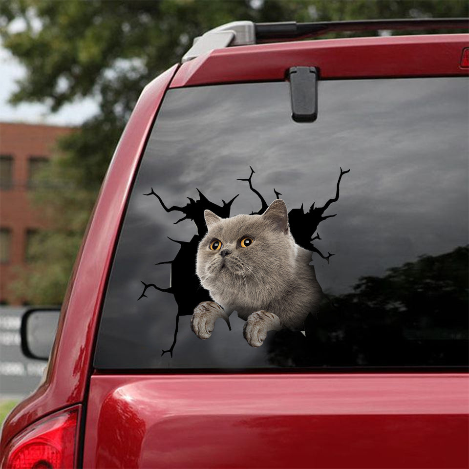 Scottish Fold Cat Crack Sticker Car Window Cute Custom Sticker Maker Bridal Shower Gifts - Cat Lovers die-cut waterproof vinyl sticker decal