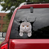 Scottish Fold Cat Crack Decal For Boat Cool Custom Car Decals Best Christmas Gifts - Cat Lovers die-cut waterproof vinyl sticker decal