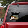 [dt1095-snf-tnt]-catfish-crack-car-sticker-fish-lovers
