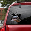 [dt1097-snf-tnt]-catfish-crack-car-sticker-fish-lovers
