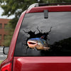 [dt1099-snf-tnt]-catfish-crack-car-sticker-fish-lovers
