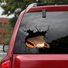 [dt1103-snf-tnt]-catfish-crack-car-sticker-fish-lovers