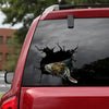 [dt1104-snf-tnt]-catfish-crack-car-sticker-fish-lovers