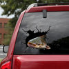 [dt1106-snf-tnt]-catfish-crack-car-sticker-fish-lovers