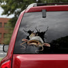 [dt1107-snf-tnt]-catfish-crack-car-sticker-fish-lovers