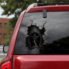 [dt1109-snf-tnt]-halloween-crack-car-sticker-halloween-lovers