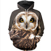 3D All Over Printed Owl Shirts And Shorts DT011104