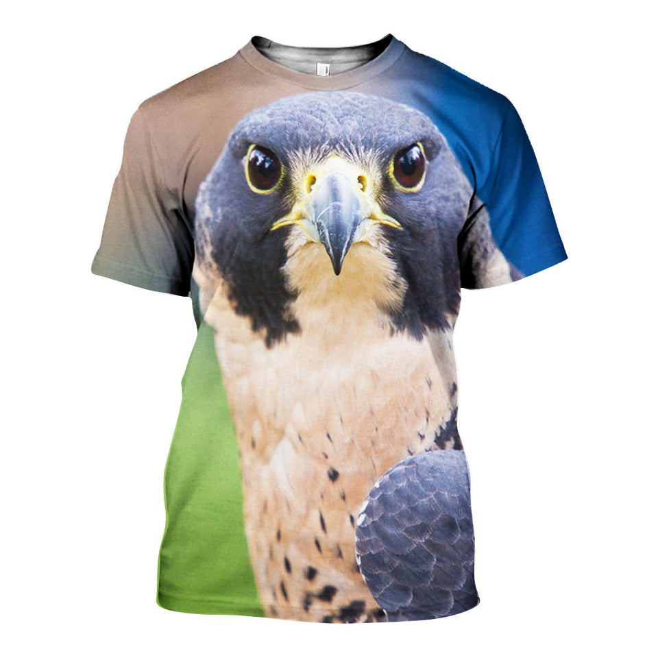3D All Over Printed Falcon Shirts And Shorts DT101102