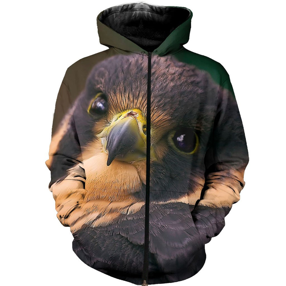 3D All Over Printed Falcon Shirts And Shorts DT231112