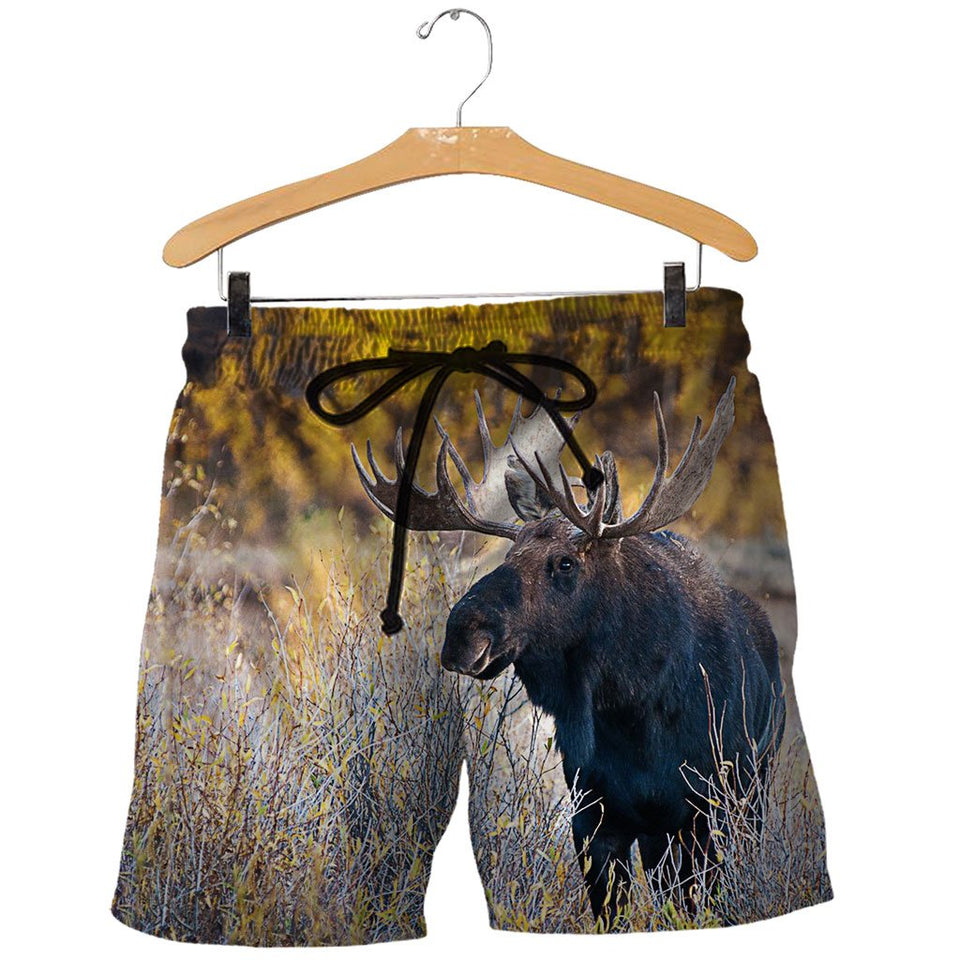 3D All Over Printed Moose Shirts And Shorts MQ231103