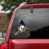 [sk0320-snf-tpa] Eagle car sticker animal lover - Camellia Print
