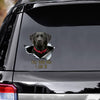 Tell Your Dogs I Said Hi - Black Labrado Vinyls Car Decals