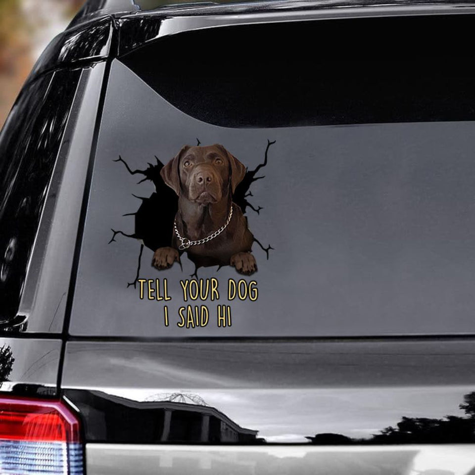 Funny Labrador Car Decals Dogs Sticker Gift for Window Sticker