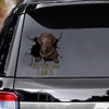 Funny Labrador Car Decals Dogs Sticker Gift for Window Sticker