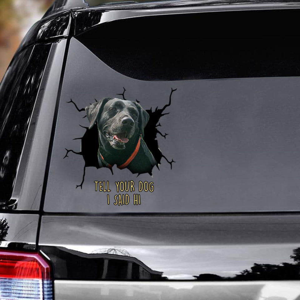 Tell Your Dogs I Said Hi - Black Labrado Vinyls Car Decals