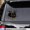 Tell Your Dogs I Said Hi - Black Labrado Vinyls Car Decals