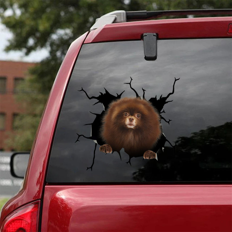 [ha0019-snf-tpa]-pomeranian-crack-car-sticker-dogs-lover