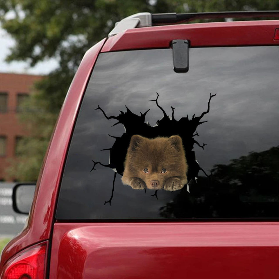 [ha0021-snf-tpa]-pomeranian-crack-car-sticker-dogs-lover