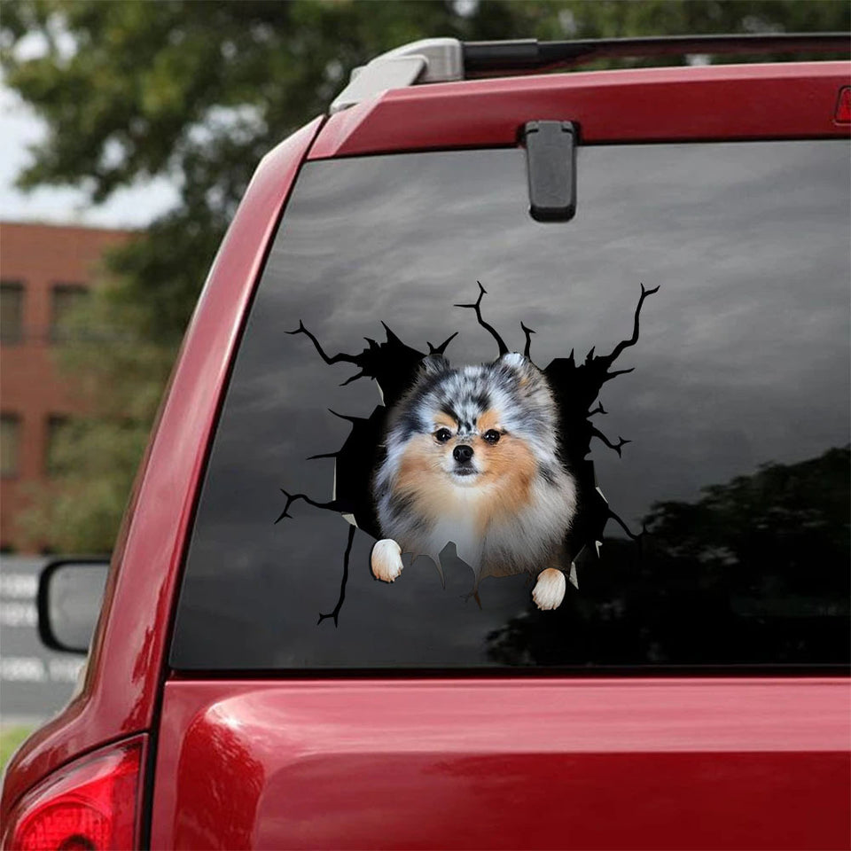 [ha0022-snf-tpa]-pomeranian-crack-car-sticker-dogs-lover