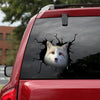 [ha0025-snf-ptd]-fox-crack-car-sticker-animals-lover