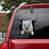 [ha0028-snf-ptd]-fox-crack-car-sticker-animals-lover