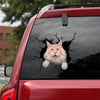 The Maine Coon Crack Sticker Chart A Cute Custom Vinyl Lettering Christmas Gifts 2022 - Cat Lovers die-cut waterproof vinyl sticker decal