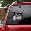 The Maine Coon Crack Sticker Ideas Hot Custom Vinyl Decals Gifts For Pregnant Women - Cat Lovers die-cut waterproof vinyl sticker decal