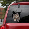 The Maine Coon Crack Stickers Custom Funny Jokes Custom Car Window Decals Gift Ideas - Cat Lovers die-cut waterproof vinyl sticker decal