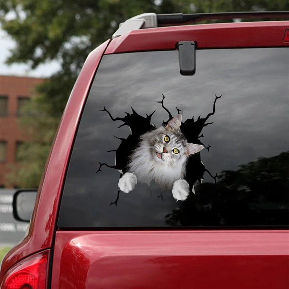 The Maine Coon Crack Sticker Cute The Cutest Stickers Para Carros Mothers Day Presents - Cat Lovers die-cut waterproof vinyl sticker decal