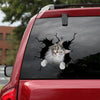 The Maine Coon Crack Sticker Cute The Cutest Stickers Para Carros Mothers Day Presents - Cat Lovers die-cut waterproof vinyl sticker decal