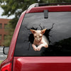 The Sphynx Crack Stickers For Cars Funny Jokes Floor Stickers Gifts For Golfers - Cat Lovers die-cut waterproof vinyl sticker decal