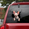 The Sphynx Crack Sticker Chart Funny Gifs Window Stickers Teacher Gift Ideas - Cat Lovers die-cut waterproof vinyl sticker decal