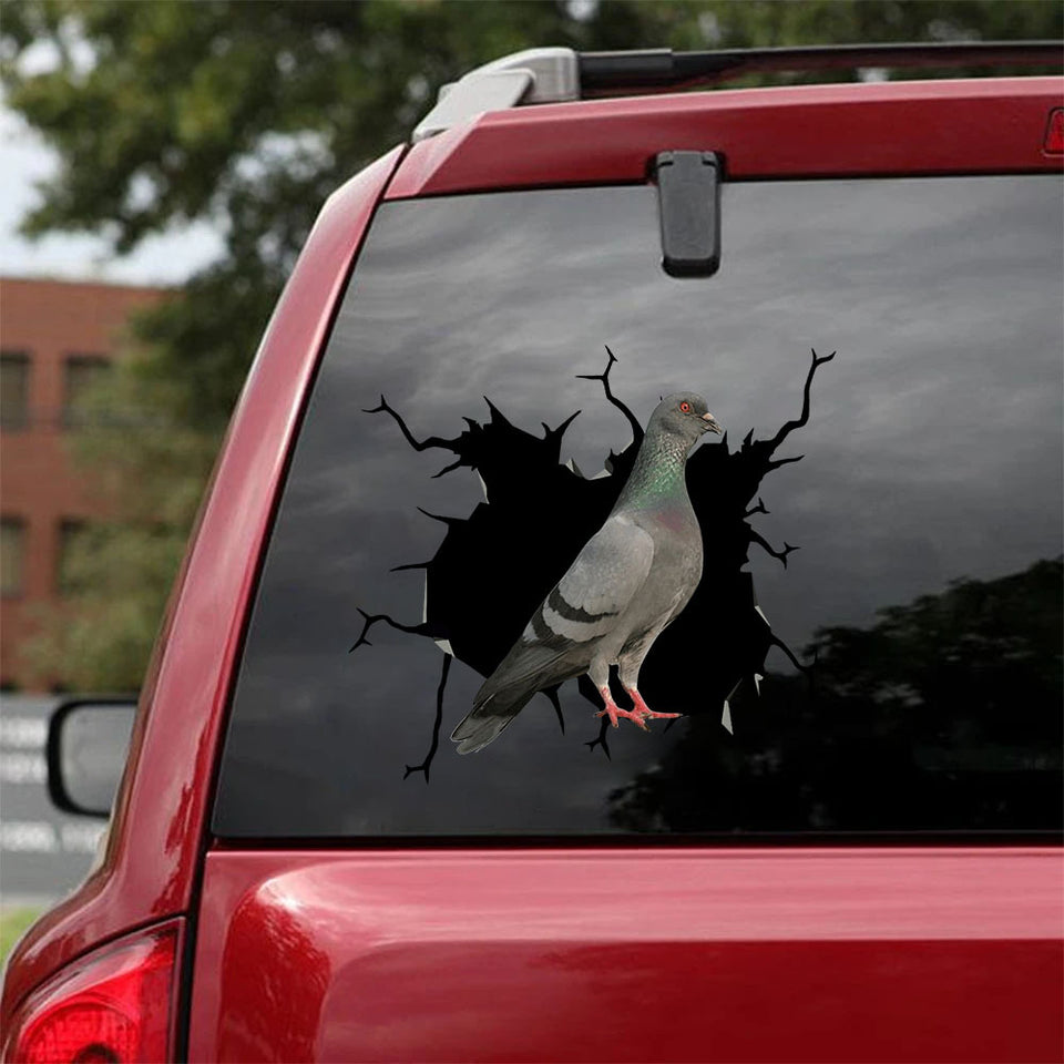 Pigeon Crack Decor Decal Nice Vinyl Stickers For Cars Gift Store - General die-cut waterproof vinyl sticker decal
