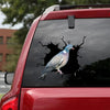 Pigeon Crack Sticker Box Nice Bumper Sticker Maker Birthday Gift - General die-cut waterproof vinyl sticker decal