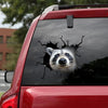 Raccoon Crack Duck Decal Cute A Removable Stickers Gift Boxes For Men - General die-cut waterproof vinyl sticker decal