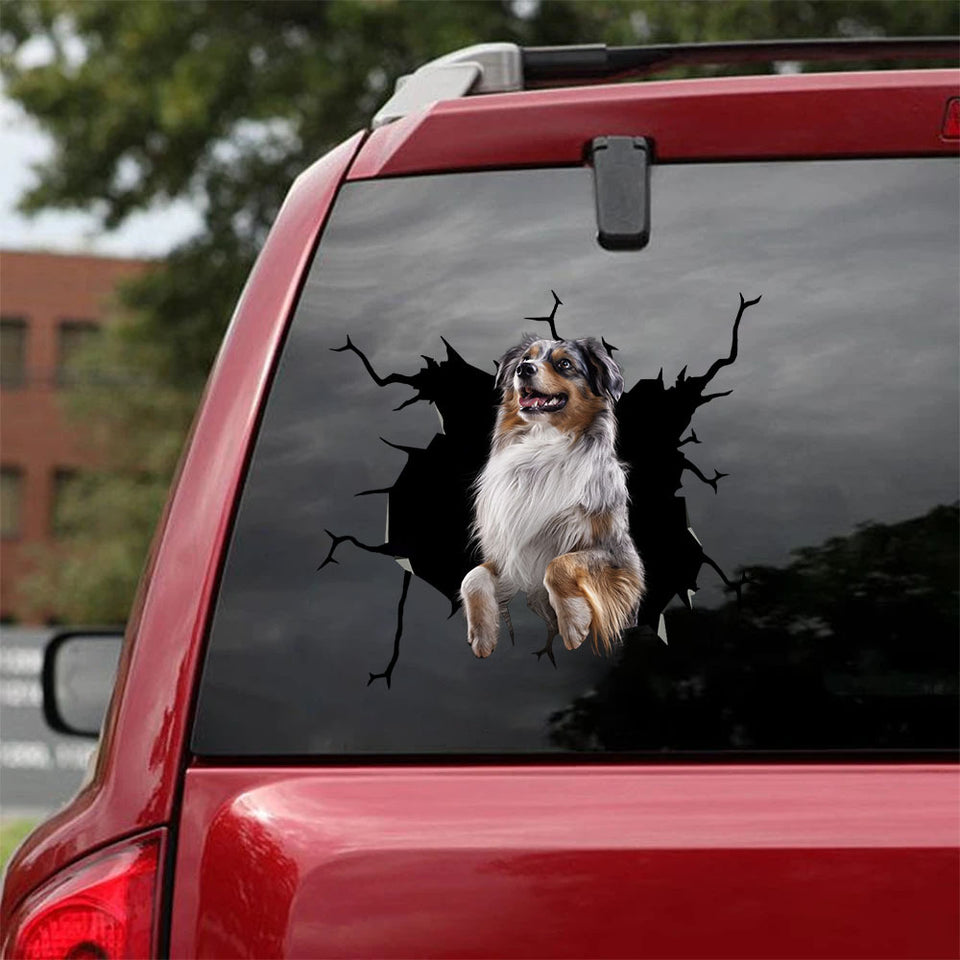 [ha0081-snf-tpa]-australian-shepherd-crack-car-sticker-dogs-lover