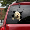 [ha0091-snf-ptd]-tibetan-terriers-crack-car-sticker-dogs-lover