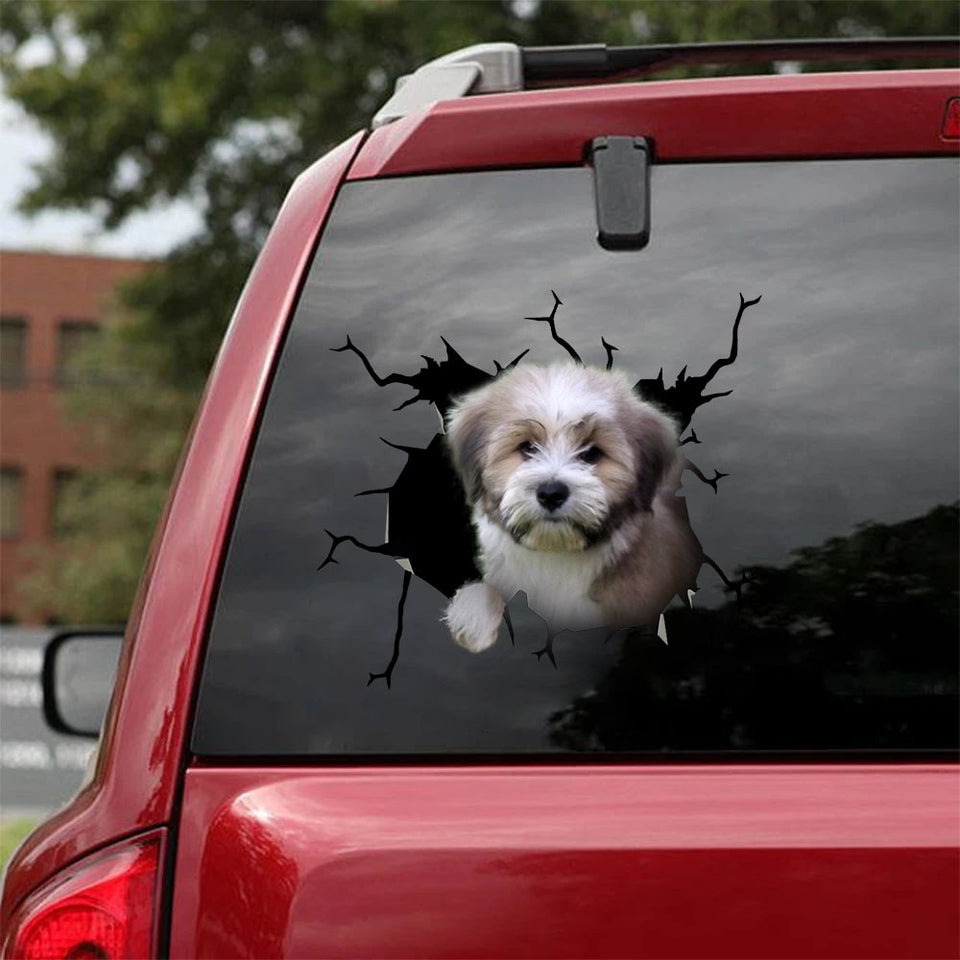 [ha0092-snf-ptd]-tibetan-terriers-crack-car-sticker-dogs-lover