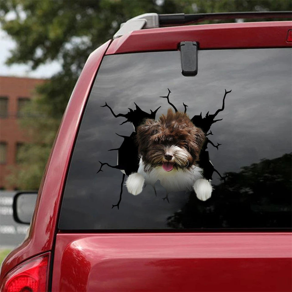 [ha0098-snf-ptd]-tibetan-terriers-crack-car-sticker-dogs-lover