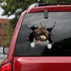 [ha0098-snf-ptd]-tibetan-terriers-crack-car-sticker-dogs-lover