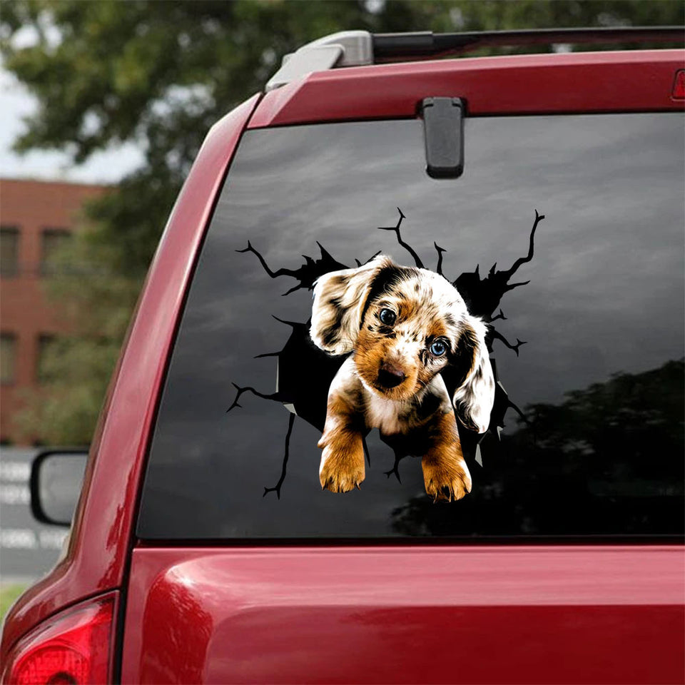 [ha0126-snf-ptd]-dapple-miniature-dachshund-crack-car-sticker-dogs-lover