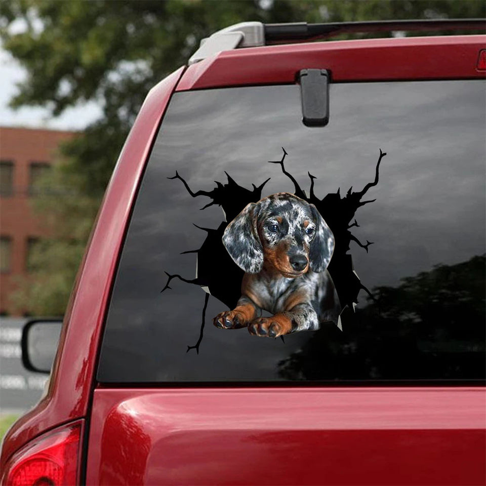 [ha0127-snf-ptd]-dapple-miniature-dachshund-crack-car-sticker-dogs-lover