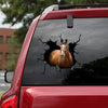 [ha0132-snf-ptd]-racing-horse-crack-car-sticker-