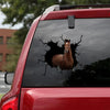 [ha0134-snf-ptd]-racing-horse-crack-car-sticker-