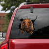 Long Haired Dachshund Crack Stickers For Cars Corny Jokes Face Stickers Wedding Gifts - Dog Lovers die-cut waterproof vinyl sticker decal