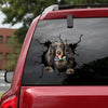 Long Haired Dachshund Crack Head Decal A Cute Clear Labels Best Friend Gifts - Dog Lovers die-cut waterproof vinyl sticker decal