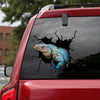 Iguana Crack Sticker Kawaii You Cute Custom Sticker Maker 3rd Anniversary Gift - Wildlife & Nature die-cut waterproof vinyl sticker decal