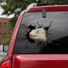 Iguana Crack Decal Sticker Car You Cute Anime Car Sticker Birthday Ideas For Boyfriend - Wildlife & Nature die-cut waterproof vinyl sticker decal
